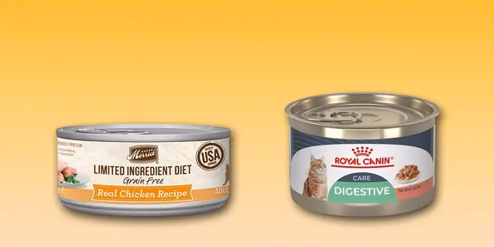 Read more about the article Limited Ingredient Cat Food: Simple Nutrition for Sensitive Felines