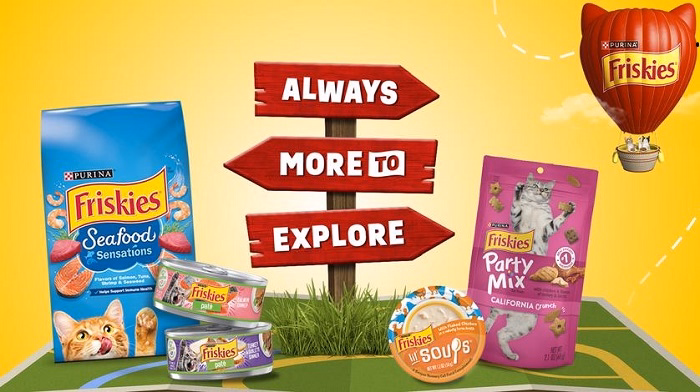 walmart cat fooddfgryy