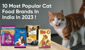 Read more about the article Best Wet Cat Food for Sensitive Stomach: A Comprehensive Guide