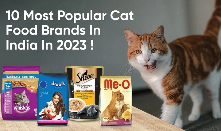You are currently viewing Best Wet Cat Food for Sensitive Stomach: A Comprehensive Guide
