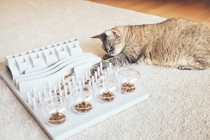 Slow Feeder for Cats