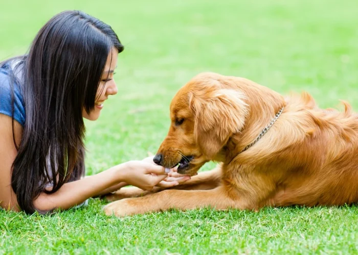 The Emotional Benefits of Loving Pets e1746616962967