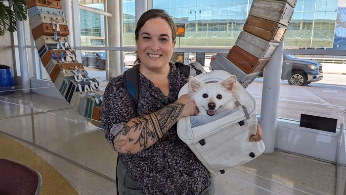 Tips for New Pet Owners in San