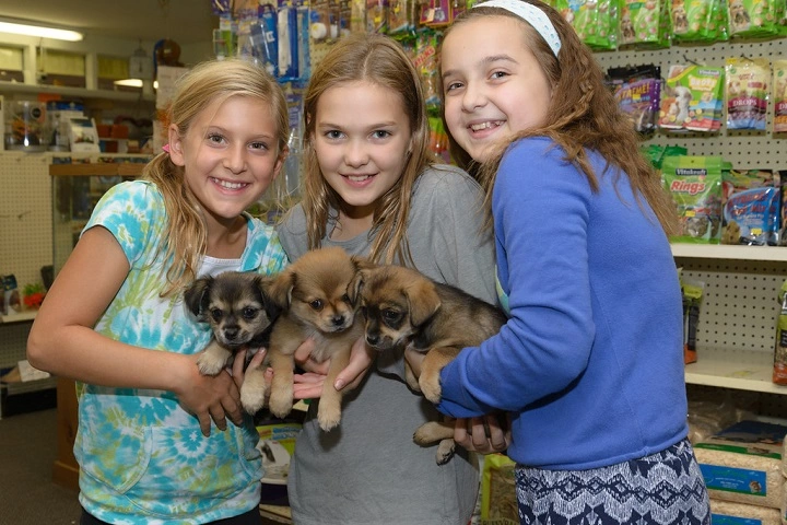 You are currently viewing Diane’s Pets: A Local Haven for Animal Lovers and Pet Enthusiasts