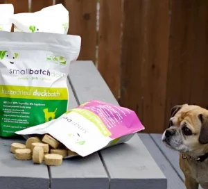 Read more about the article Why Choose Small Batch Dog Food: The Benefits of Feeding Your Dog Quality and Care
