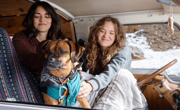 Read more about the article RV Travel with Pets: A Complete Guide to a Safe and Fun Journey