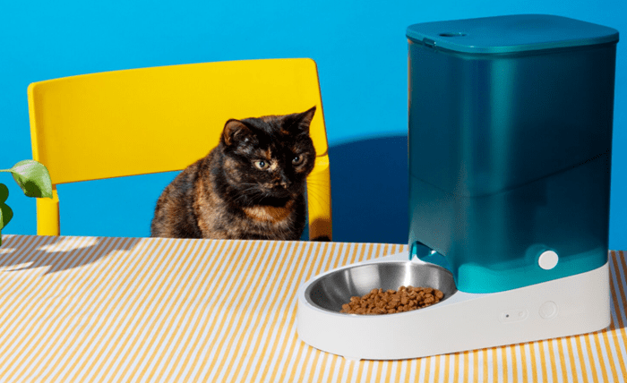 You are currently viewing Non-Stick Stainless Steel Cat Litter Box: The Best Choice