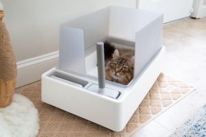Read more about the article Non-Stick Stainless Steel Cat Litter Box: The Best Choice