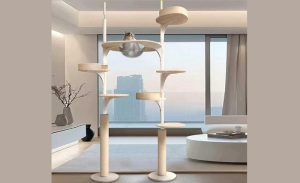 Read more about the article Floor to Ceiling Cat Tree for Large Cats: A Smart Choice for Happy, Active Cats