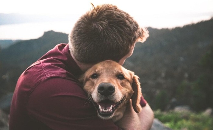 Read more about the article Essential First Aid Techniques Every Pet Owner Should Know