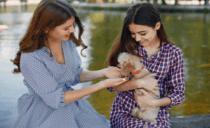 Read more about the article How Emotional Support Animals Can Improve Mental Well-Being During Major Life Changes